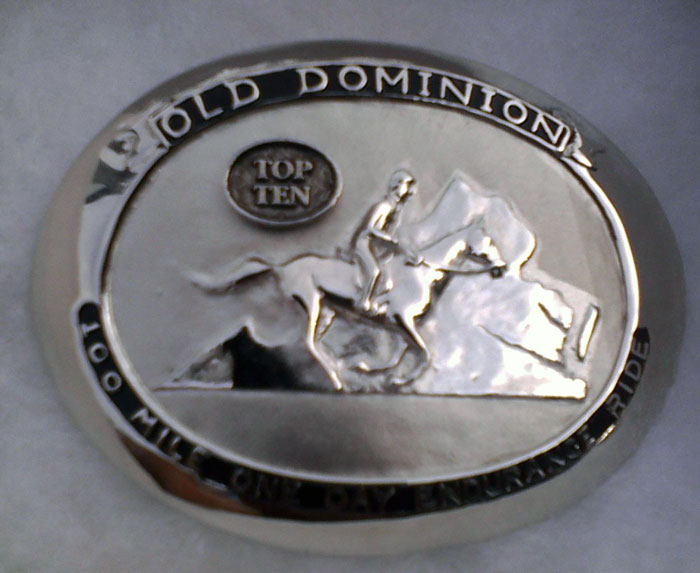 Dominion Buckle